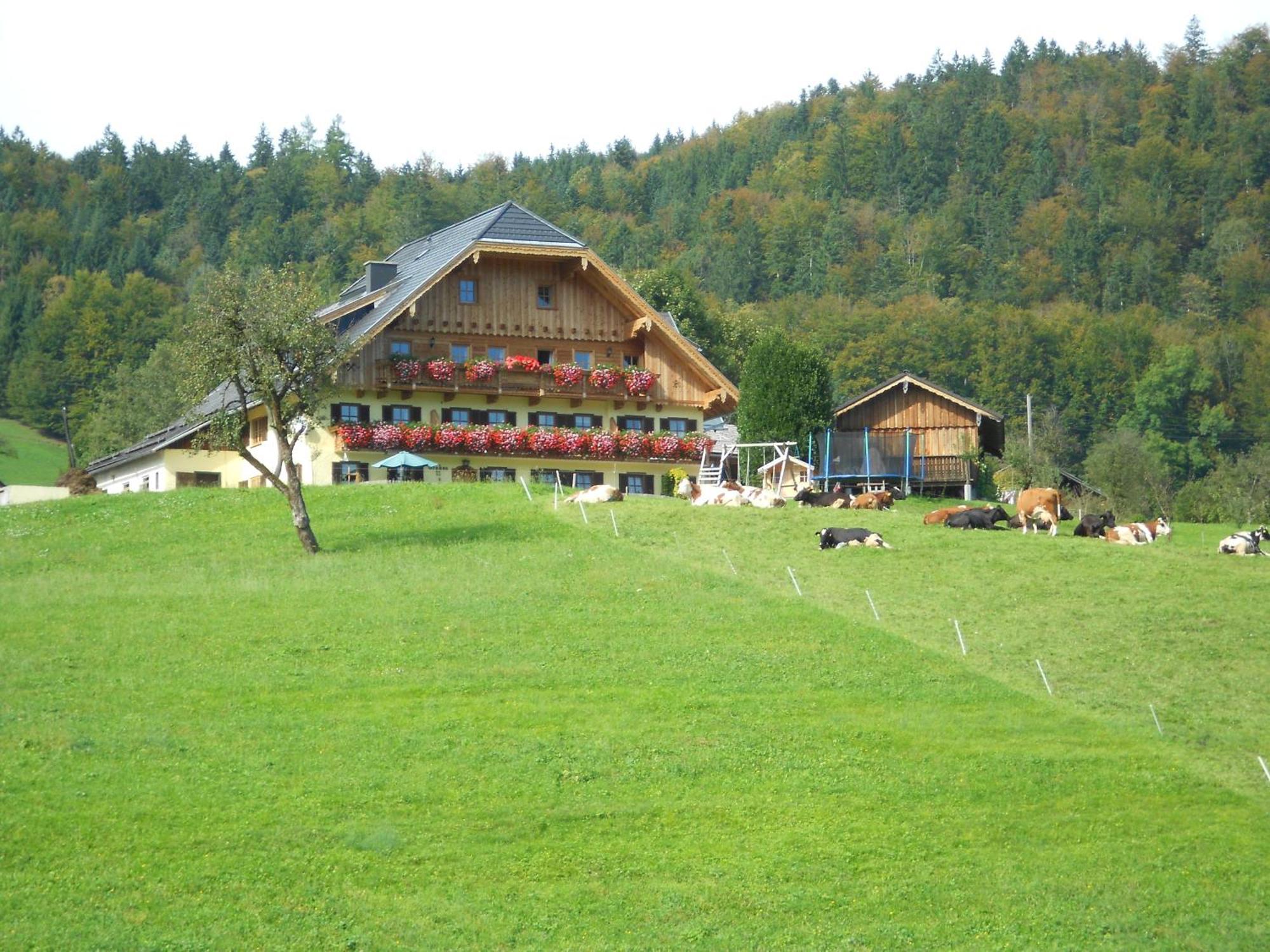 فيلا Paulbauer Saint Wolfgang المظهر الخارجي الصورة