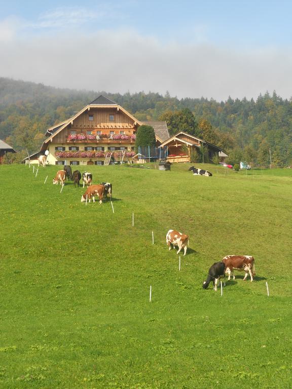 فيلا Paulbauer Saint Wolfgang المظهر الخارجي الصورة